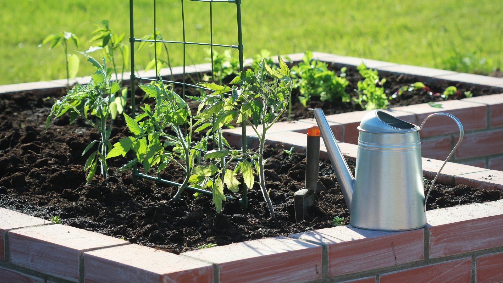 An L-shaped brick raised bed holds sun-bathed plants, while a metallic watering can rests on the edge, ready for nurturing the verdant life within.