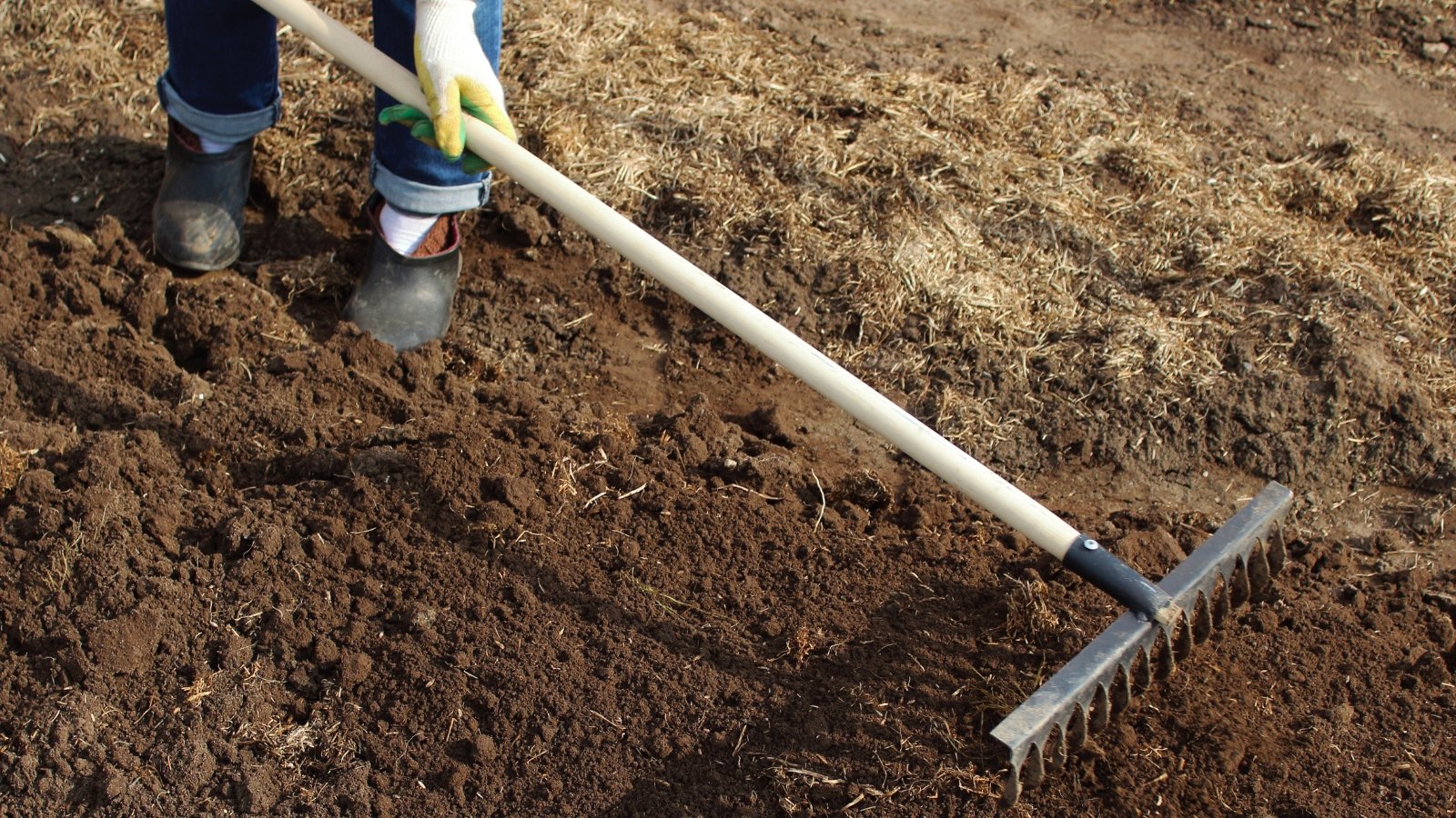 A gardener diligently rakes through rich, brown soil, preparing it for planting and nurturing future growth with care and precision.