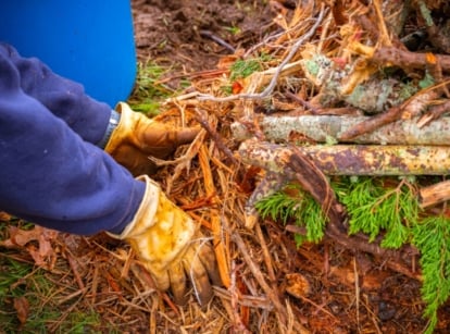 Hugelkultur is one of the popular ancient gardening methods. The Hugelkultur method is a gardening technique characterized by its raised beds built from mounds of decaying organic matter, such as logs, branches, leaves, and other plant materials. The gardener's hands in yellow gloves add branches to the garden bed.