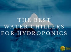 The Best Water Chillers for Hydroponics
