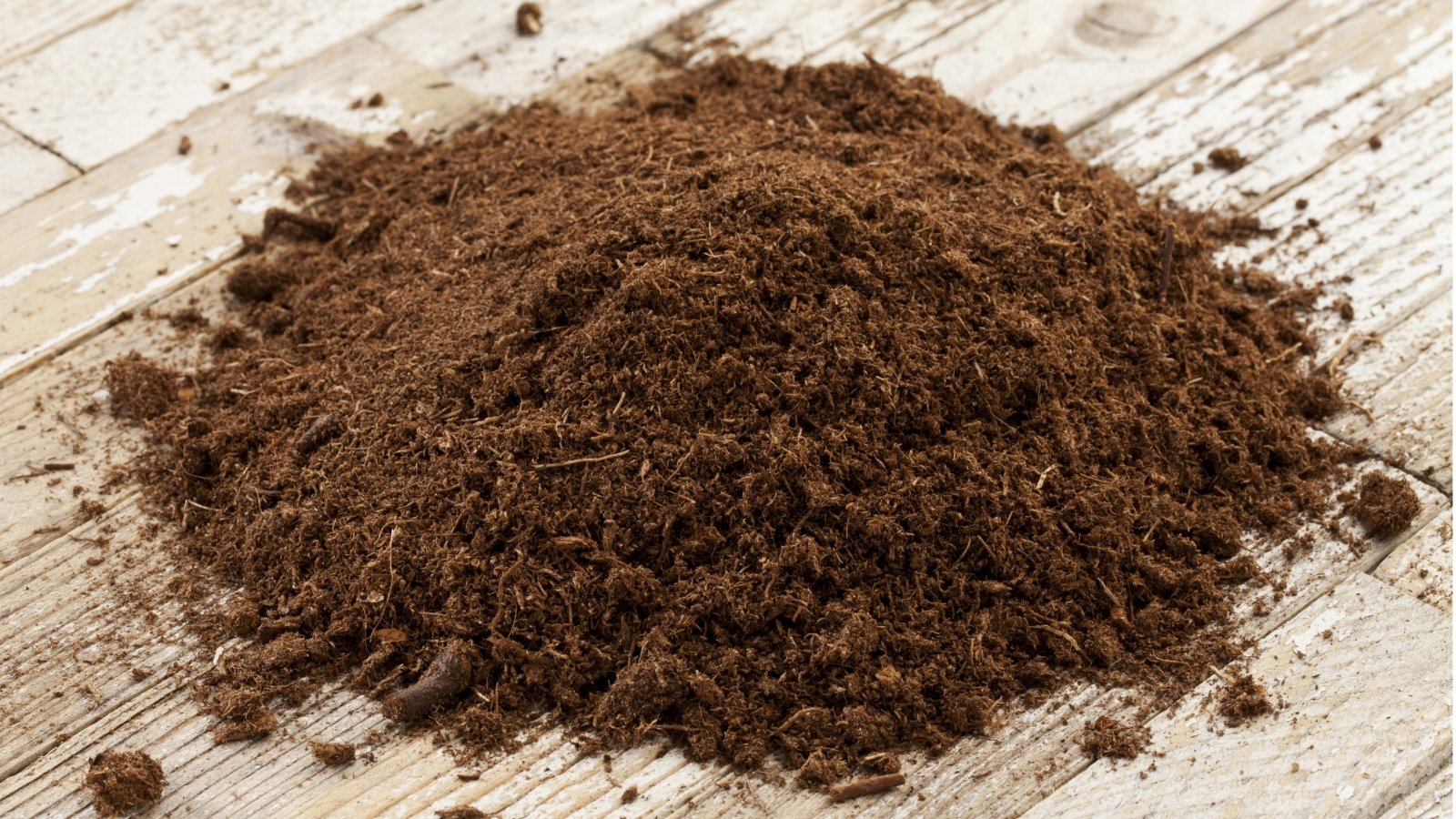 Sphagnum Peat Moss exhibits a lush, fibrous texture. Its earthy tones blend harmoniously against the backdrop of a wooden floor, evoking a rustic charm. This organic matter holds moisture adeptly, fostering an optimal environment for plant roots.