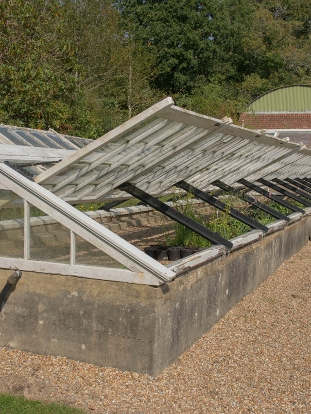 What Can I Grow in a Cold Frame in the Winter?