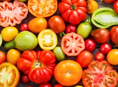A variety of tomatoes, some halved, some whole, arranged on a sunlit table, showcasing vibrant colors and textures, inviting the viewer to savor the diversity of nature's bounty.