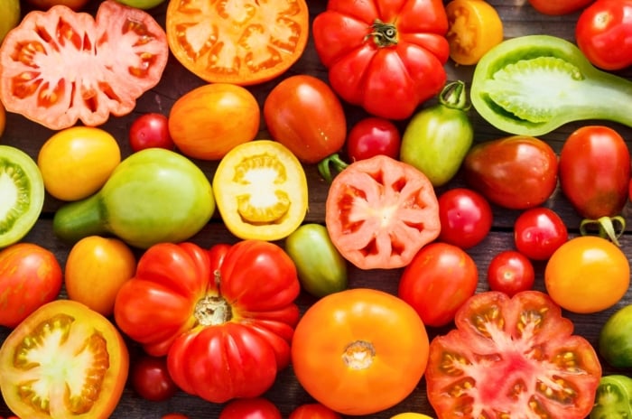A variety of tomatoes, some halved, some whole, arranged on a sunlit table, showcasing vibrant colors and textures, inviting the viewer to savor the diversity of nature's bounty.