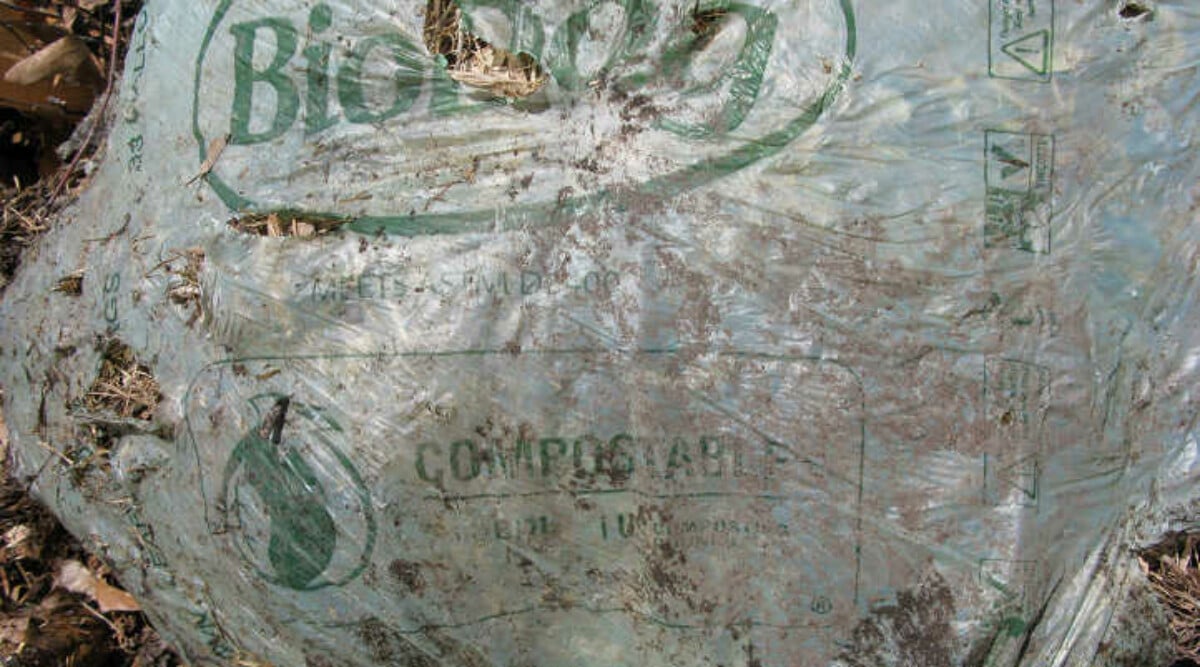 Compost bags