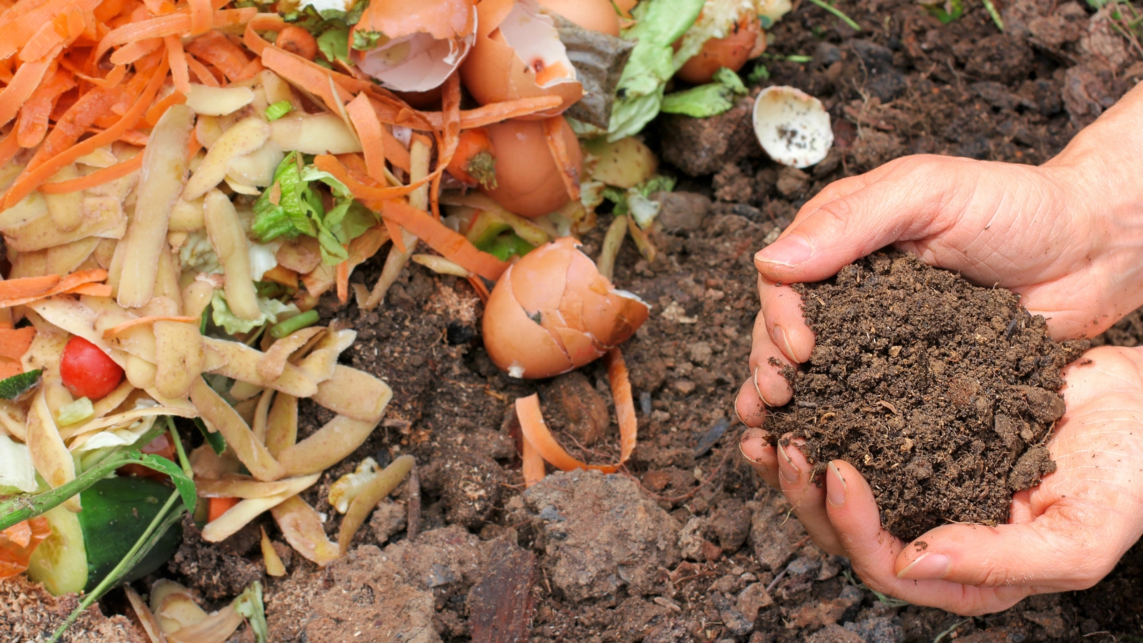 Hands tenderly cradle rich brown compost soil, promising life's renewal. Below, kitchen scraps scatter on the ground, awaiting transformation into nutrient-rich sustenance, a humble beginning to a cycle of growth and nourishment.