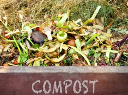 composting myths