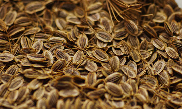 Dill seeds