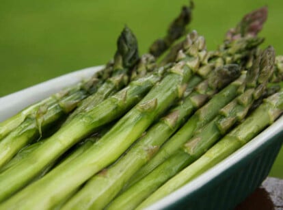 How To Grow Asparagus