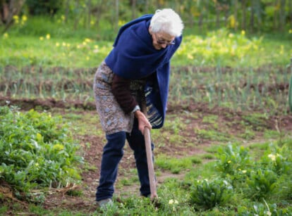 Elderly gardening