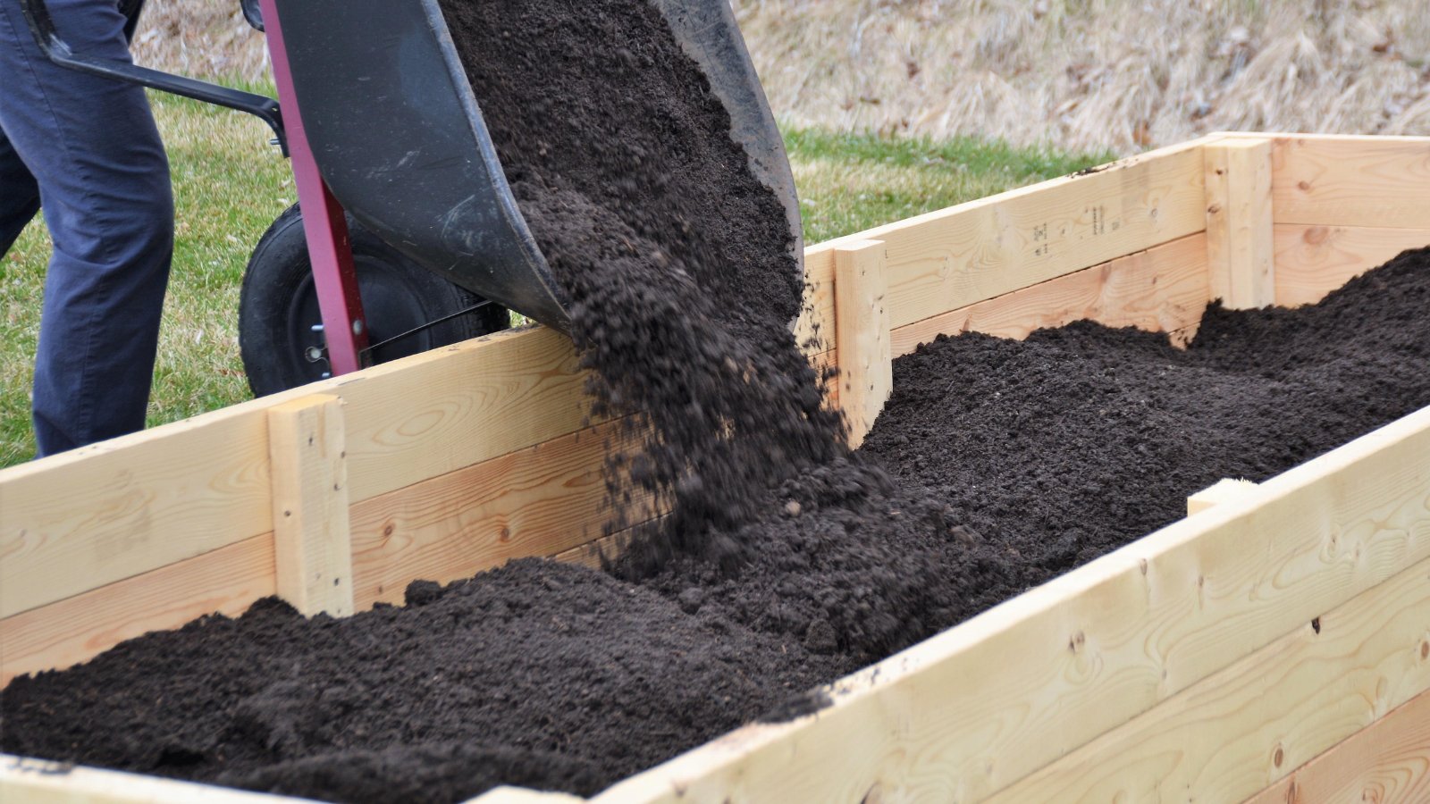 A gardener pours rich, black soil from a tilted wheelbarrow into a wooden raised bed, preparing the perfect foundation for plants to thrive and flourish in the garden.