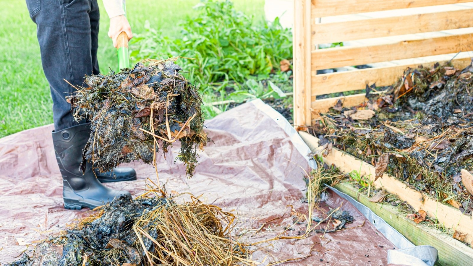 Close-up of a gardener in black high rubber boots flipping a compost pile with a shovel in a summer garden.