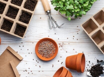 Set of gardening tools and supplies for sowing seeds.