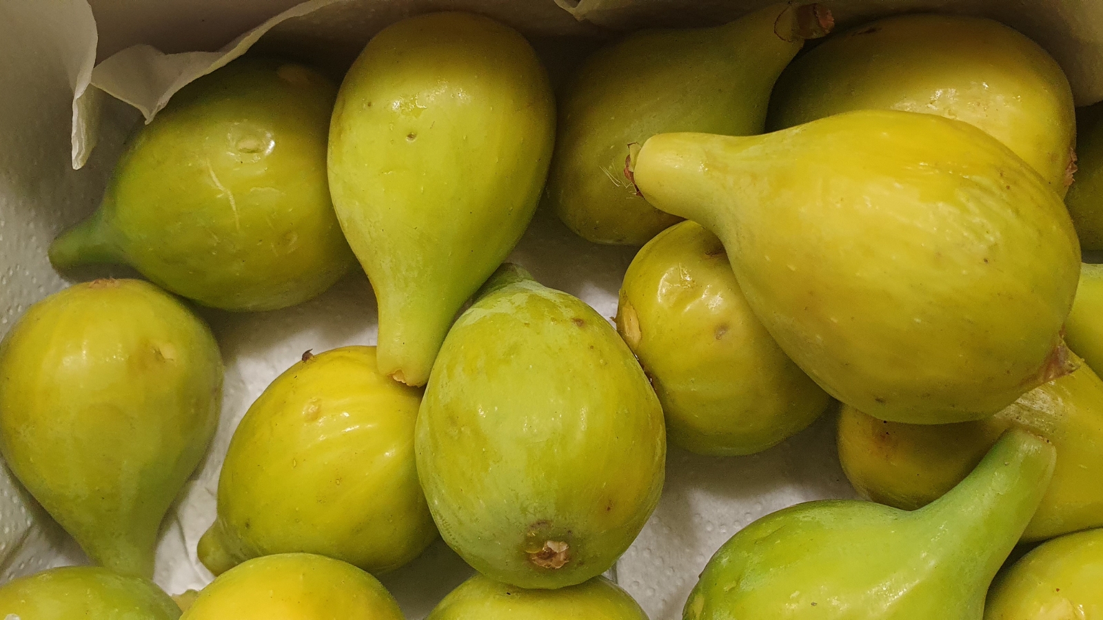 A cluster of ripe Yellow Long Neck figs, their smooth skins glowing golden under soft light, arranged carefully in a container. Each fig, with its yellow hue, exudes a sweet aroma, promising a succulent and flavorsome treat upon consumption.