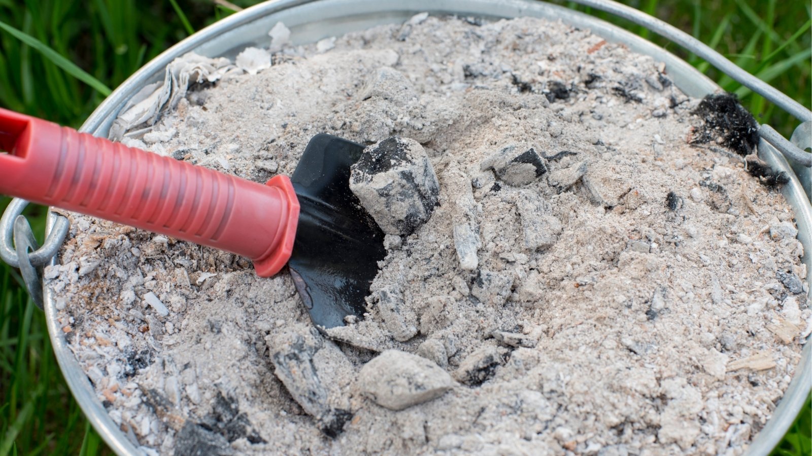 In a container, a garden shovel rests amidst a bed of ash, its metal surface coated in a fine layer. The ash, a residue of past fires, carries a delicate gray hue, hinting at its role in enriching the earth below.