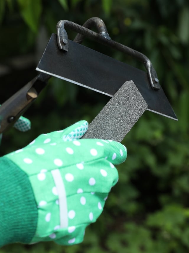 How to Sharpen Garden Tools in 7 Simple Steps