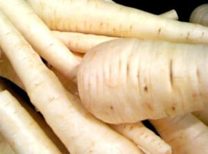 Growing parsnips