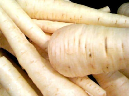 Growing parsnips