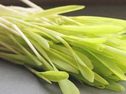 Harvested popcorn microgreens