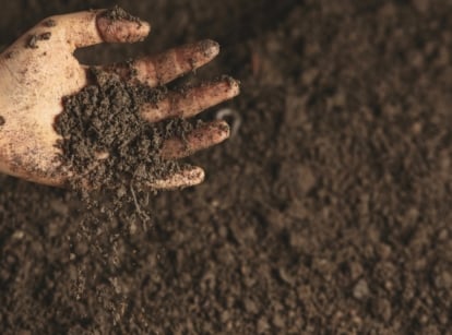 Close-up of a hand pouring healthy soil through its fingers against the background of soil in the garden.