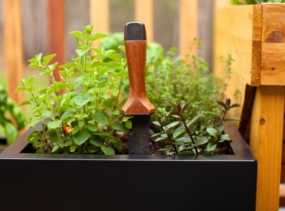 Close-up of a hori hori knife stuck into a raised garden bed, with a wooden fence in the background.