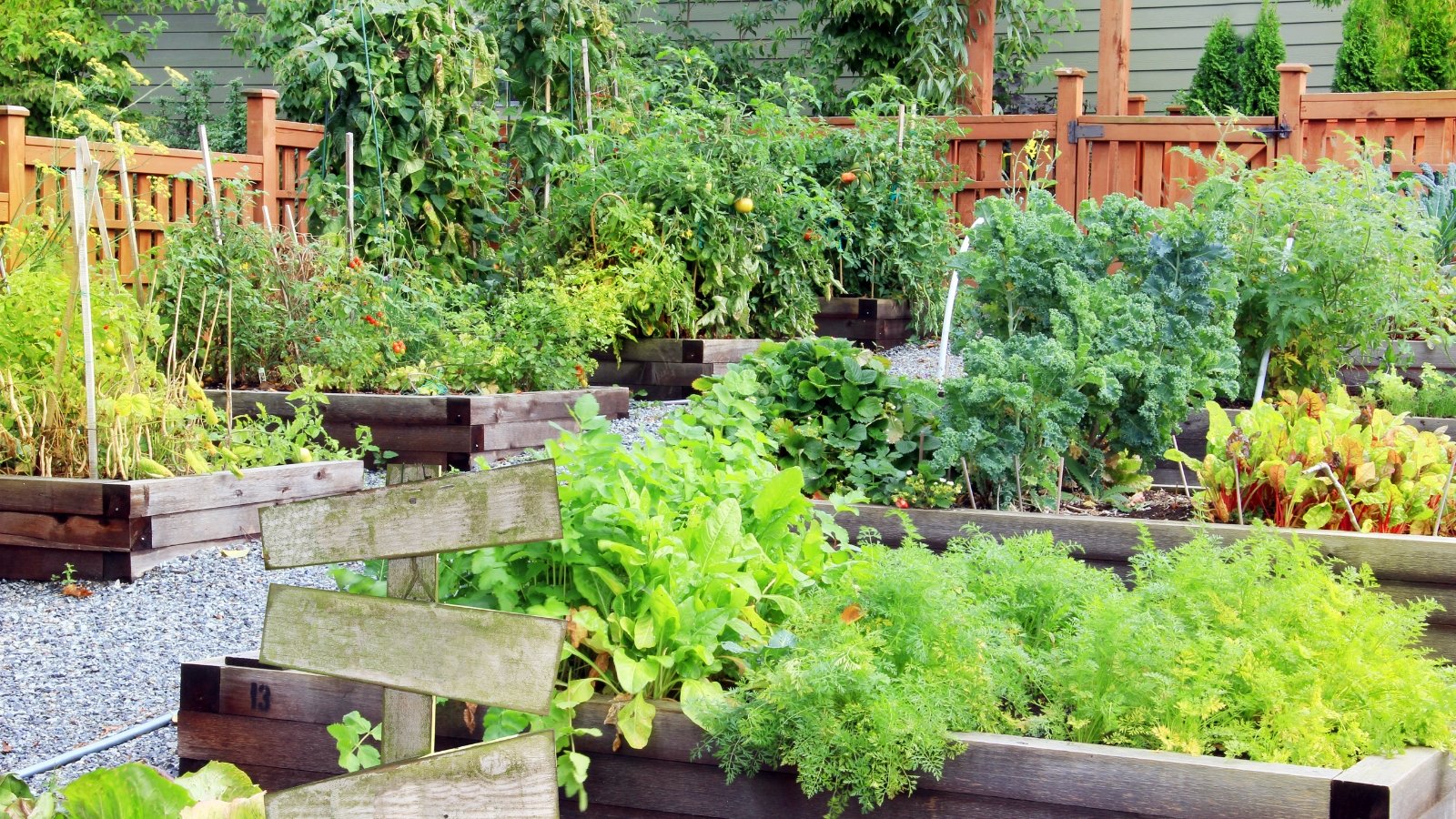Wooden raised beds in a flourishing garden, adorned with an array of vegetables, promising a harvest brimming with freshness and flavor.