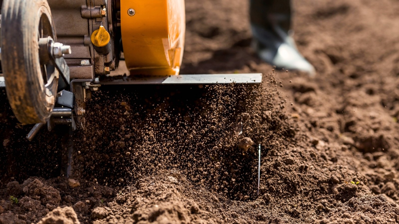 Close-up of a male farmer plowing the soil in his garden using a cultivator.