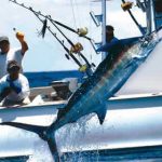 Miami_sportfishing-1.jpg