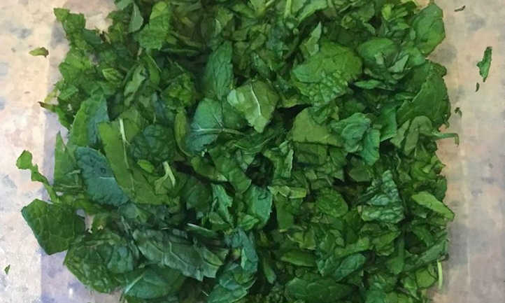 Mint prepared for freezing