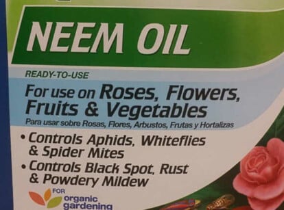 Neem oil