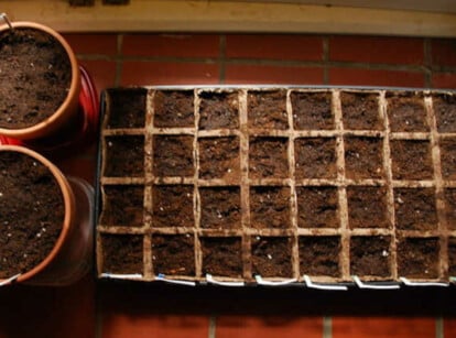 Peat cells