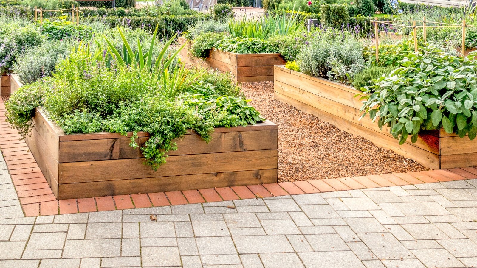 Garden beds crafted from wood, filled with vibrant foliage, thrive under the sun's nurturing rays, offering a symphony of colors and textures in a harmonious botanical arrangement.