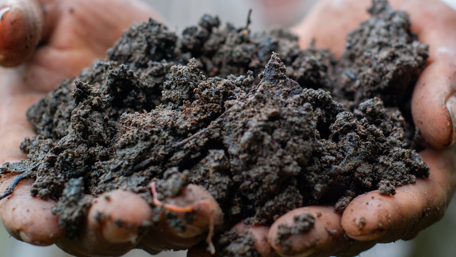 A close-up reveals hands coated in dirt, gently embracing rich, damp soil, nurturing potential life with its darkness and moisture, promising growth and vitality in its depths.