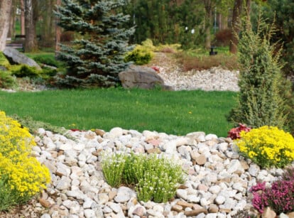 A tidy garden with grass and various drought-resistant plants uses light-colored rocks as mulch.