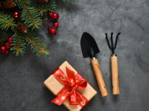 A gift box with a red bow and two garden tools sit near a decorated Christmas tree