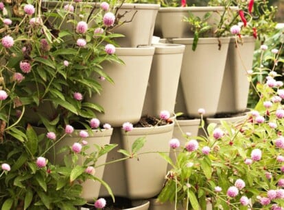 Close-up of GreenStalk 7 Tier Vertical Planter with Globe Amaranth in bloom. The GreenStalk 7 Tier Vertical Planter is a tall, cylindrical gardening system designed with a series of stackable, stone-colored, and tiered planting compartments. It is perfect for smaller plants, root vegetables, and herbs, making it a practical and space-saving choice for vertical gardening.