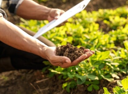 Close-up of a gardener checking the soil type in the garden. In one hand he holds a handful of fresh soil, and in the other hand he holds a clipboard with documents. The gardener is wearing black trousers and a plaid shirt.