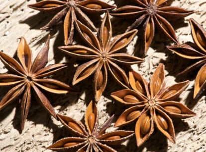 Star anise plant