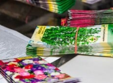 A close up image of several stacks of seed packets. Some are banded together with a red rubber band.