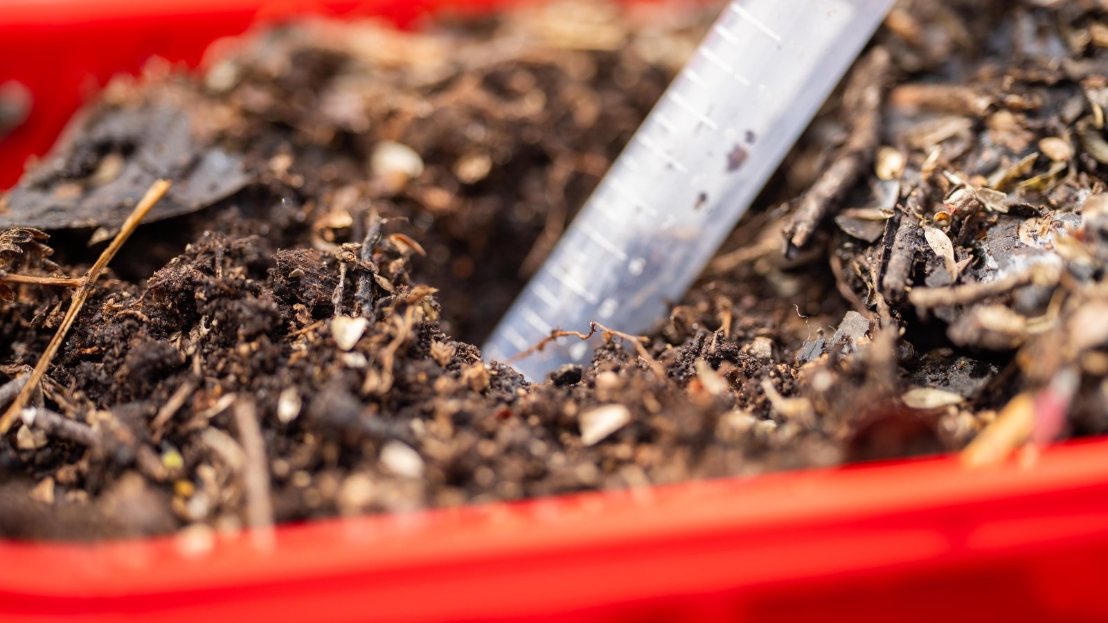 A close-up of a test tube nestled in soil within a red pot, indicating soil testing underway, with scientific precision and organic context merged seamlessly in this vibrant composition.