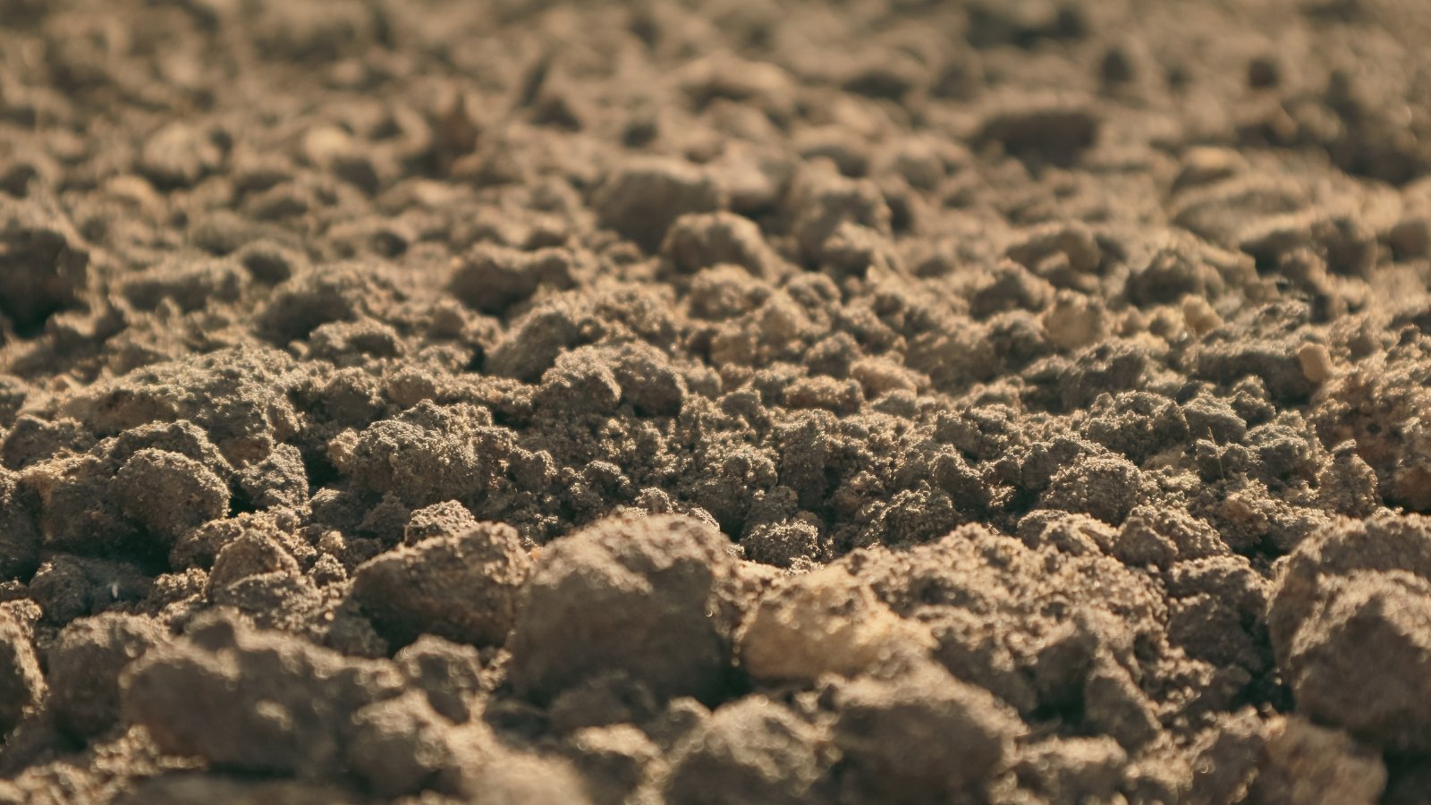 Close-up of soil with a crumbly, slightly clumpy texture and light brown color.