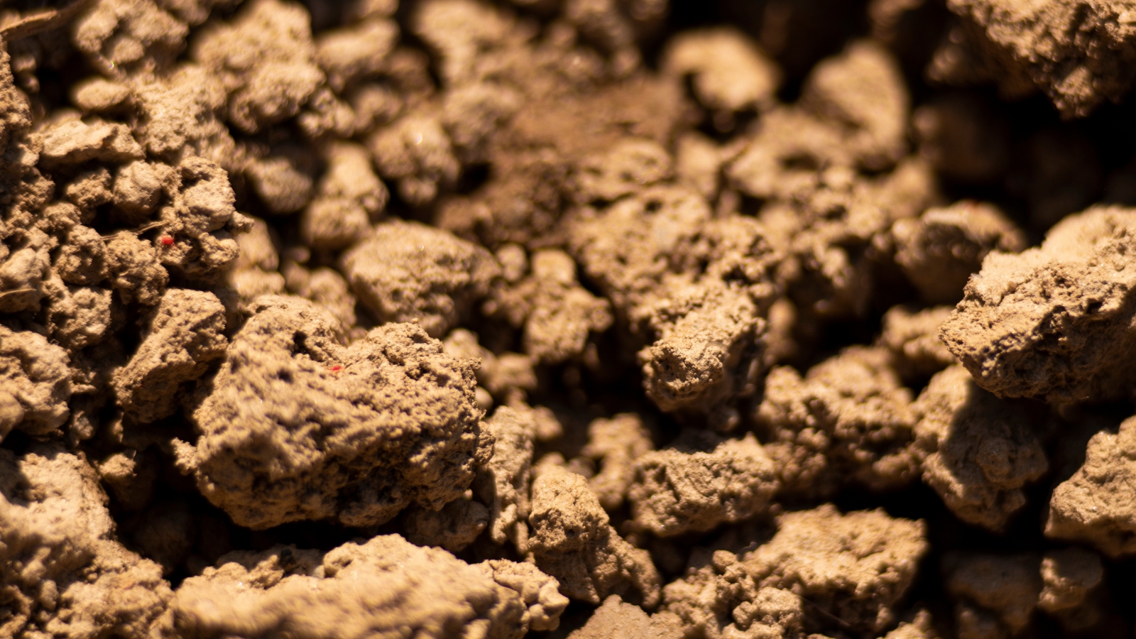 A close-up of rich brown clay soil under the sun's warm glow, showcasing intricate textures and earthy tones. Shadows dance across the surface, enhancing the depth and dimension of the soil's natural composition.